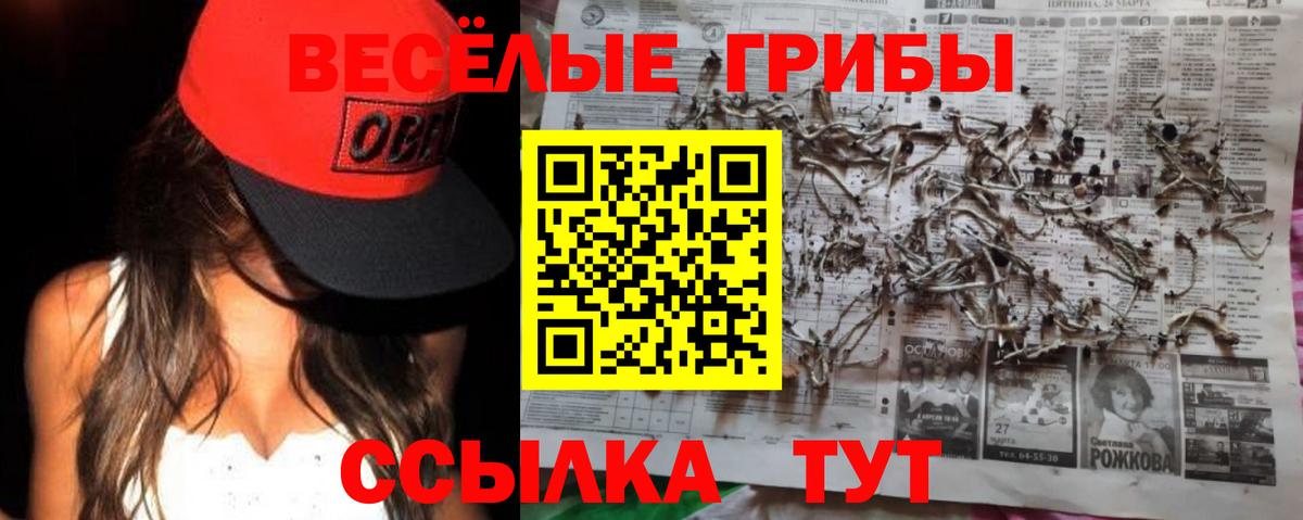 Галлюциногенные грибы мицелий Орёл