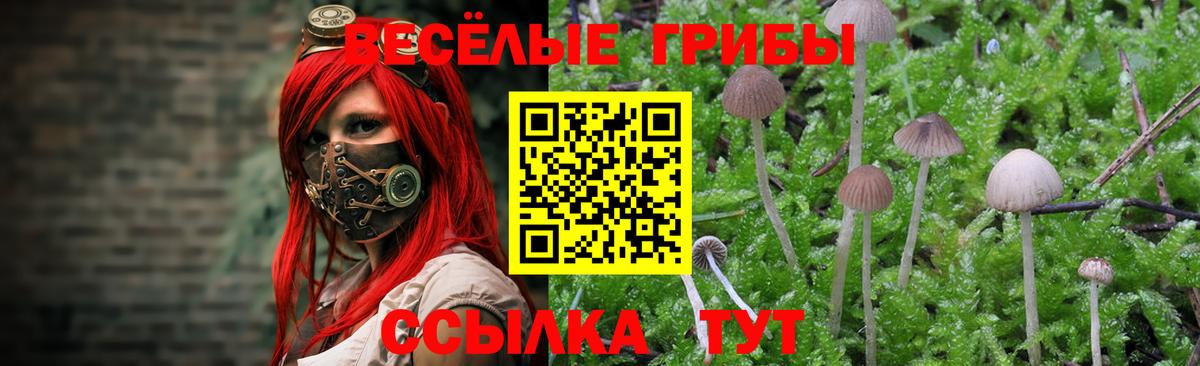 Орёл  Псилоцибиновые грибы прущие грибы  Псилоцибиновые грибы GOLDEN TEACHER  Вход с VPN 
