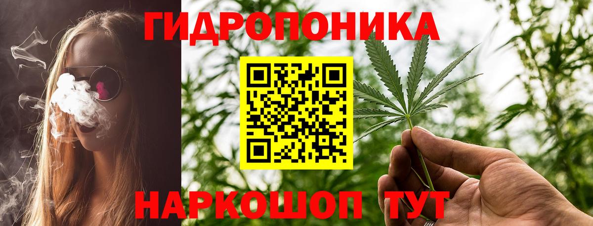 Орёл  Каннабис VHQ  Шишки марихуана семена  Вход с VPN 